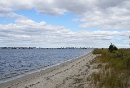 Beach at Cattus Island County Park, NJ